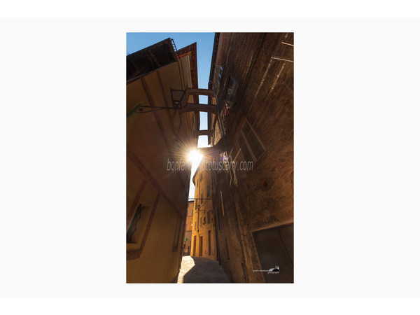 siena photo walk © andrea bonfanti ph.