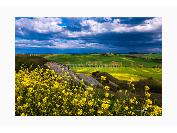 primavera nelle crete senesi.jpg