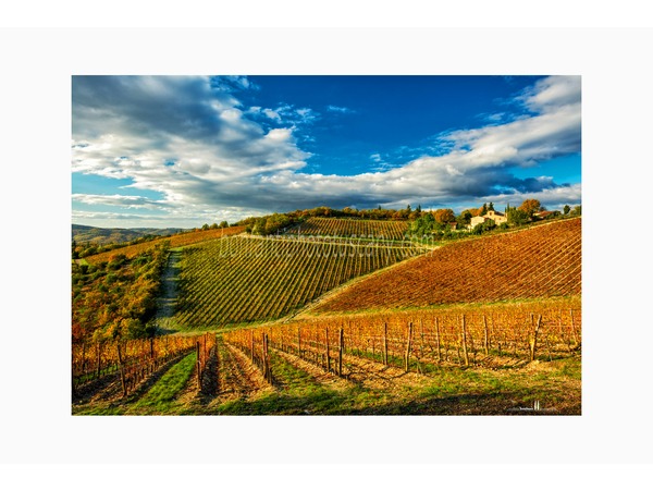 Tuscany Photo Tour Chianti vineyards and villages