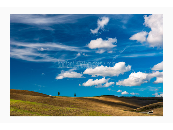 due cipressi nel paesaggio di san quirico d'orcia.jpg