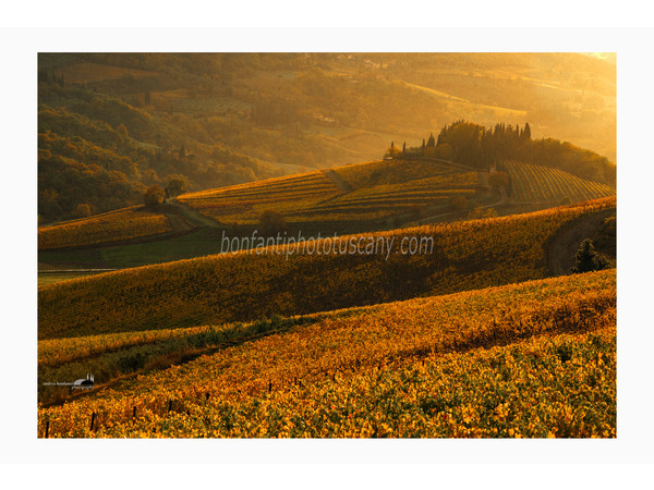 Chianti Vineyards and Villages Photo Tour with A. Bonfanti ph