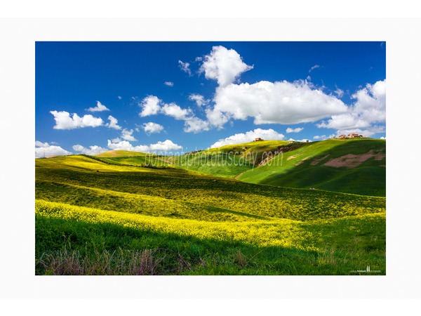 Tuscany Photo Tour Crete senesi landscapes