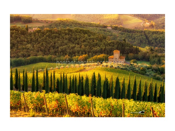 Chianti Vineyards and Villages Photo Tour with A. Bonfanti ph