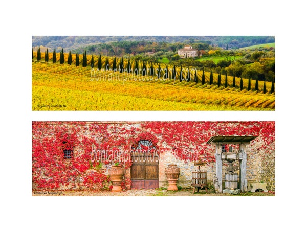 Tuscany Photo Tour Chianti vineyards and villages