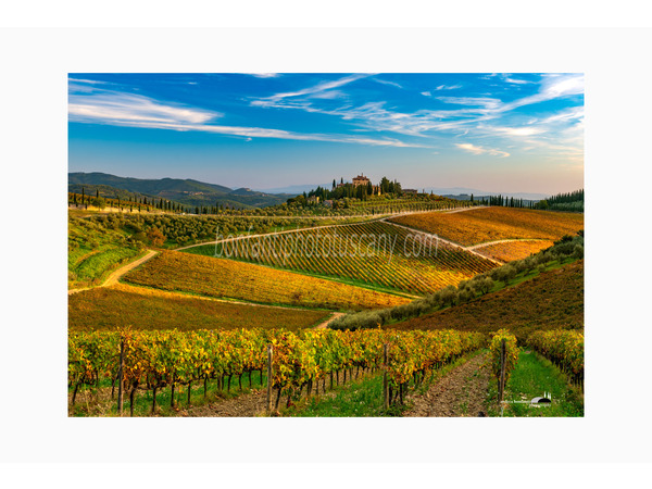 Chianti Vineyards and Villages Photo Tour with A. Bonfanti ph