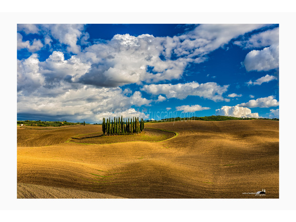 i cipressi di san quirico d'orcia.jpg