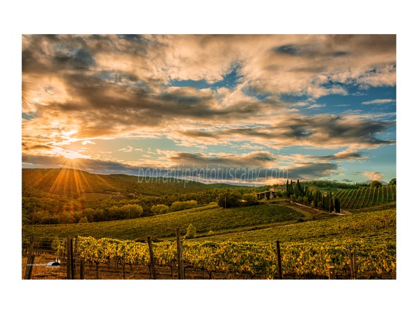 Chianti Vineyards and Villages Photo Tour with A. Bonfanti ph