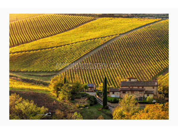 chianti fiorentino photo tour with andrea bonfanti ph.