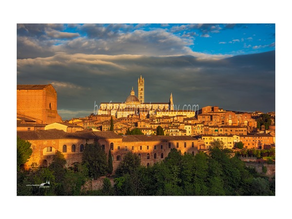 siena photo walk © andrea bonfanti ph.
