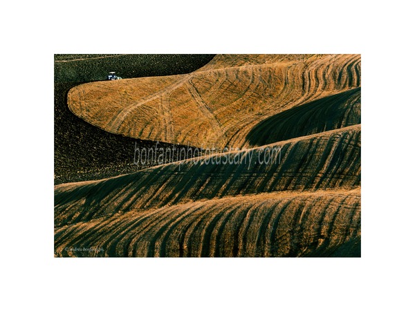 Tuscany Photo Tour Crete senesi landscapes